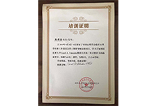 石家莊心理咨詢榮譽資質(zhì)